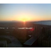 M J's photo