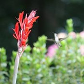 Deborah Thompson's photo