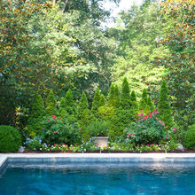 Pool landscaping