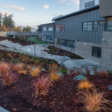 COMMERCIAL LANDSCAPE SERVICES