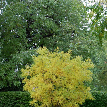 Fall in the Center of the City
