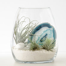 terrariums
