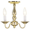 Williamsburgh Convertible Chain-Hang and Ceiling Mount, Polished Brass