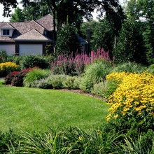 Wade Landscape