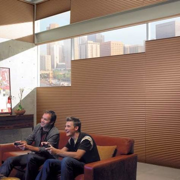ENERGY SMART HUNTER DOUGLAS - DUETTE HONEYCOMB BLINDS