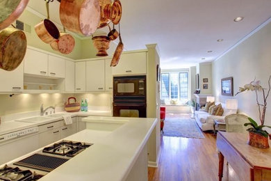 Example of a classic kitchen design in San Francisco
