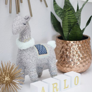 Southwestern Moder Baby Boy's Room
