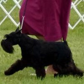 Janet Wallack's photo