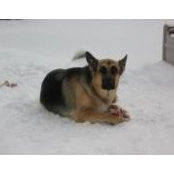 Luisa Verticchio's photo