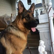 Eddie Gaetjens's photo