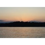 Tracie Sheppard's photo