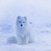 Foto de Ellice Gan
