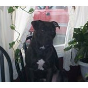 Kathy Rhoades's photo