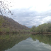 Marie Moore's photo