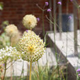 Sanctuary Landscapes's profile photo