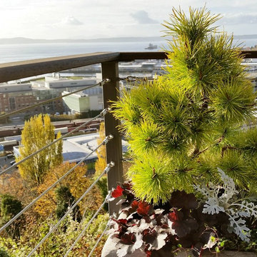 Olander . Garden . Design - Containers