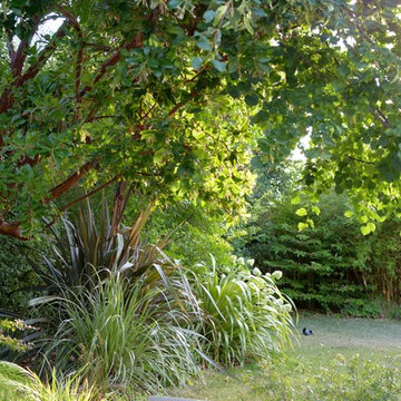 Los Altos Landscape Garden Design - Green Patio