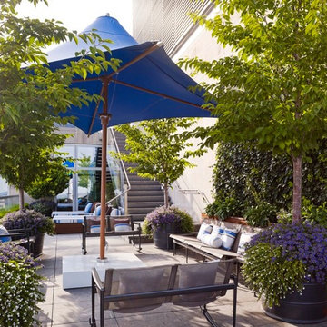 Upper East Side Penthouse