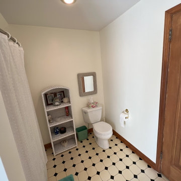 Highland Park Saint Paul bathroom update