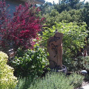 Los Altos Hills Award Winner