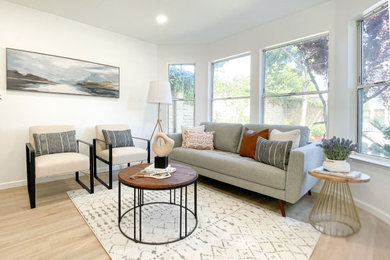 Example of a living room design in San Francisco
