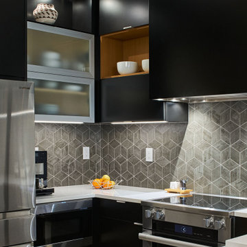 Contemporary Condominium Kitchen and Bathrooms