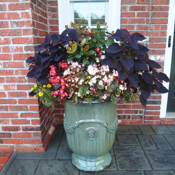 Annuals for very sunny, hot, dry location on porch