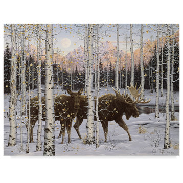 Jeff Tift 'Forest Twilight' Canvas Art, 24"x18"