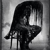 Stephen Crowley's photo