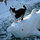 webuser_637743