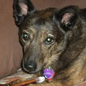 Marti Stoffel's photo