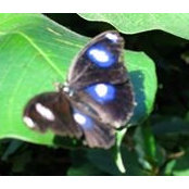 Kathy Hoffmans's photo