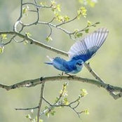Sabrina Midkiff's photo