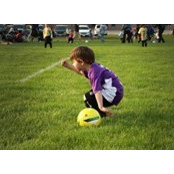 Clint Sivitilli's photo