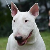 Martin Smith's photo