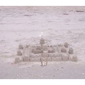 Brandy Rogers's photo