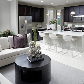 Amethyst model home in Colorado