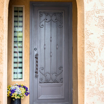 Mediterranean Iron Entry Door