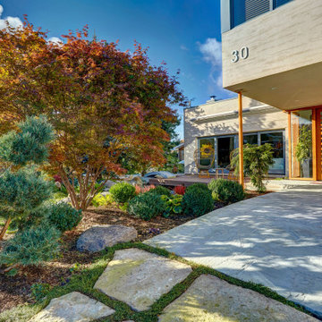 Contemporary Japanese Garden