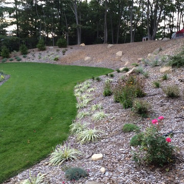 Backyard landscape design