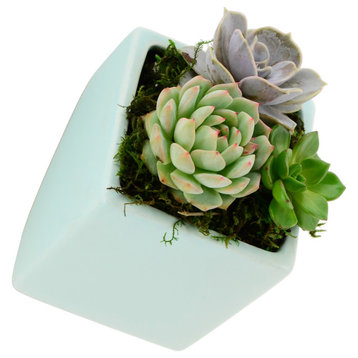 Arcadia Garden Products Large Cube Wall Planter, Mint