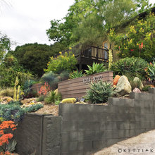 Front yard Landscape