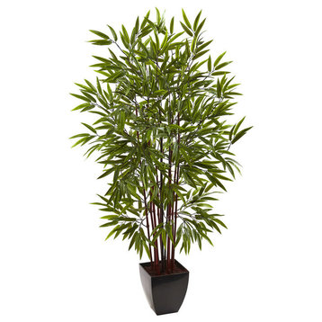 5' Bamboo Silk Tree With Planter