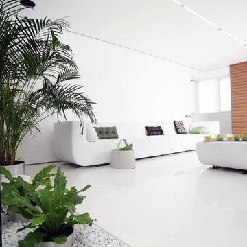 White Cube