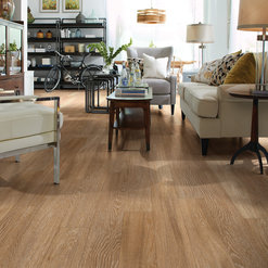 payless colorado springs co