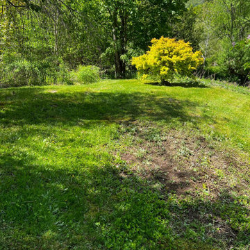Professional Lawn Care & Mulch Installation