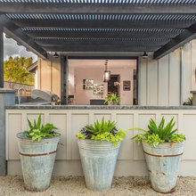 Potted Plants