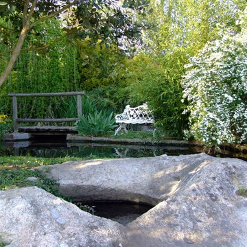 Pisajismo y Diseño de jardines