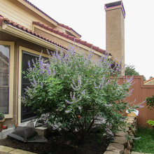 Garden Beds Foundation
