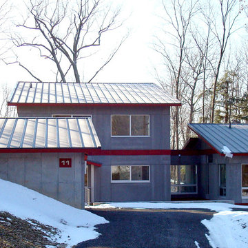View from Driveway of Mid-Century Modern Healthy Home
